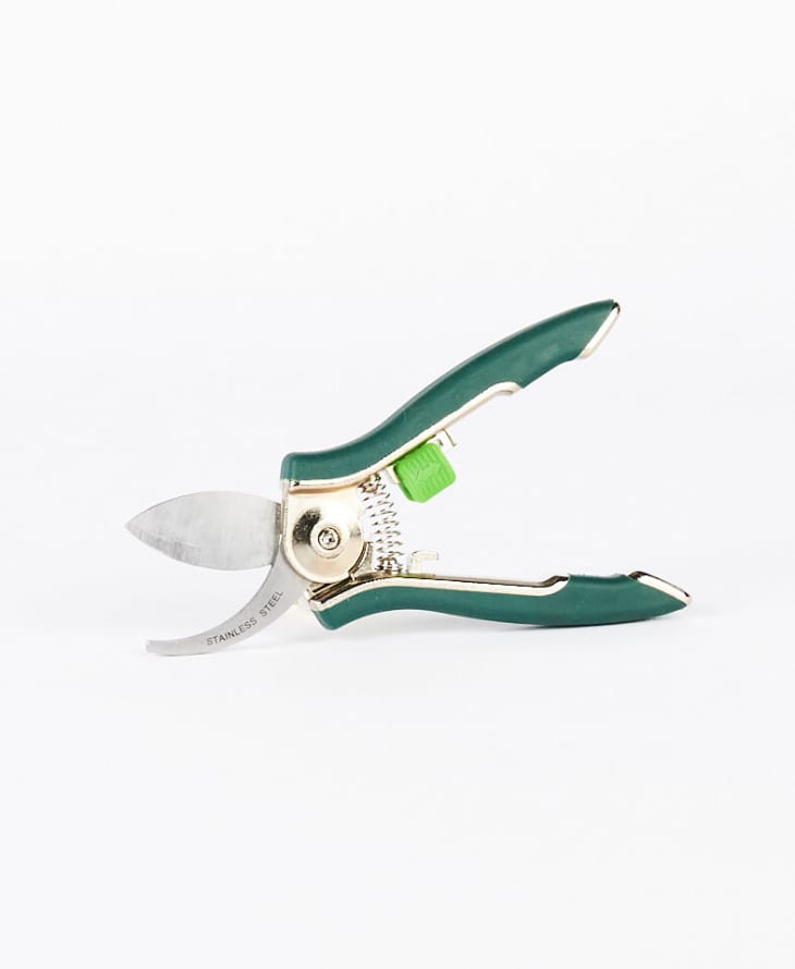 House plant top pruning shears